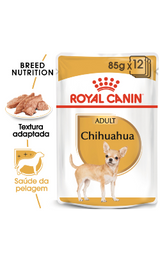 https://cdn.shopify.com/s/files/1/0916/7627/9129/files/Royal_Canin_Chihuahua_Adult_Wet_Saqueta.png?v=1737456397