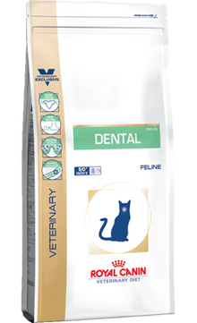 https://cdn.shopify.com/s/files/1/0916/7627/9129/files/Royal_Canin_Dental_Feline.png?v=1737392780