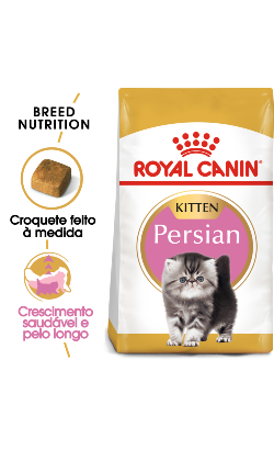Royal Canin Gatinho Persian Gato Aves - Ração seca para gato