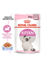 https://cdn.shopify.com/s/files/1/0916/7627/9129/files/Royal_Canin_Kitten_in_Jelly_Wet_Saqueta.png?v=1737393770