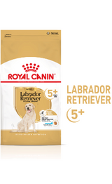 https://cdn.shopify.com/s/files/1/0916/7627/9129/files/Royal_Canin_Labrador_Ageing_5.png?v=1737463242