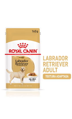 Ração húmida para Cão Royal Canin Dog Labrador Retriever Adult | Wet (saqueta) | 10 x 140 g