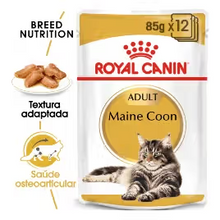 Royal Canin Maine Coon Gato Adulto - Ração húmida para gato
