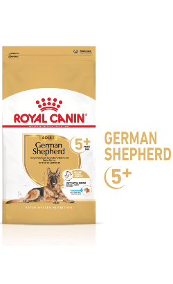 Ração para Cão Royal Canin Dog Pastor Alemão Ageing 5 + | 12 Kg