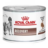 Royal Canin Vet Recovery Cão e Gato Aves - Ração húmida para cão e gato em convalescença