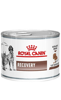 Royal Canin Vet Recovery Canine & Feline | Wet (Lata) | 12 x 195 g
