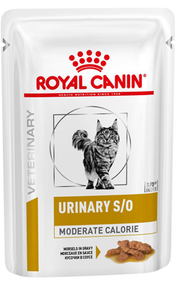 Ração Veterinária húmida para Gatos Royal Canin Vet Urinary S/O Moderate Calorie Feline | Wet (Saqueta) | 12 x 85 g