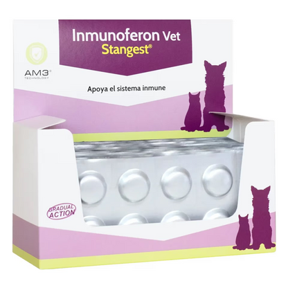 INMUNOFERON VET - Suplemento para perro y gato para reforzar el sistema inmunitario
