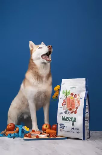 Weego Dog Food Original Salmón & Manzana 3 KG