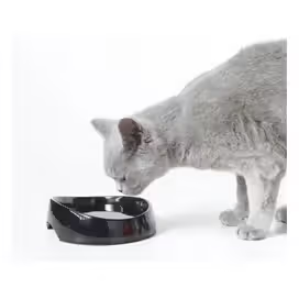 Whisker Water Savic Drinking Fountain
