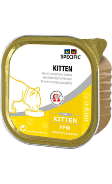 https://cdn.shopify.com/s/files/1/0916/7627/9129/files/Specific_FPW_Kitten_Wet_Terrina.png?v=1737392950