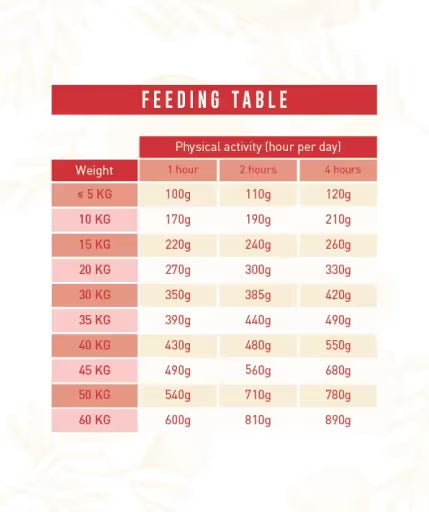 OFERTA 2kg: Weego Dog Grain Free Food Grain Free Adult Tasty Lamb 10 KG + Embalagem 2kg Grátis