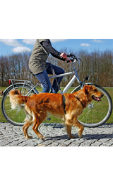 https://cdn.shopify.com/s/files/1/0916/7627/9129/files/Trixie_Bicycle_and_Jogging_Leash.png?v=1737457196
