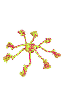 https://cdn.shopify.com/s/files/1/0916/7627/9129/files/Trixie_Brinquedo_Aranha_em_Corda.png?v=1764025369