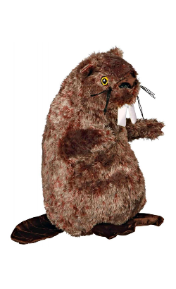 Trixie Castor em Pelúcia | 27 cm