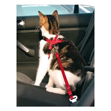 Trixie Cat Safety Belt