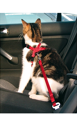 Cinto de Segurança para Gatos Trixie | 1 Unidade
