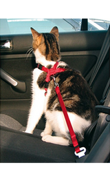 https://cdn.shopify.com/s/files/1/0916/7627/9129/files/Trixie_Cinto_de_Seguranca_para_Gatos.png?v=1737394980