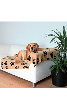 https://cdn.shopify.com/s/files/1/0916/7627/9129/files/Trixie_Cobertor_Barney_Blanket_Beige.png?v=1737456531