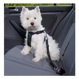 Trixie Friends on Tour Car Harness for Dog