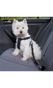 Trixie Friends on Tour Car Harness para cão | S