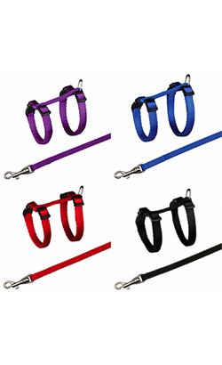 Coleira para Gatos Trixie Kitten Peitoral com Trela Nylon - Cores Sortidas | 1 Unidade