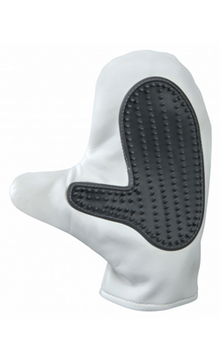 https://cdn.shopify.com/s/files/1/0916/7627/9129/files/Trixie_Luva_Coat_Care_Glove.png?v=1737456654