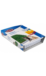 https://cdn.shopify.com/s/files/1/0916/7627/9129/files/Trixie_Soft_Grass.png?v=1737456577