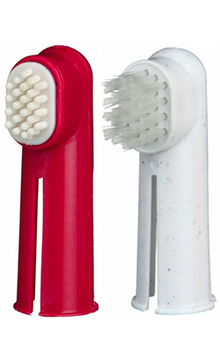https://cdn.shopify.com/s/files/1/0916/7627/9129/files/Trixie_Toothbrush_Set.png?v=1737395013