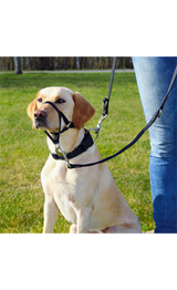 https://cdn.shopify.com/s/files/1/0916/7627/9129/files/Trixie_Top_Trainer_Training_Harness_91eead89-1f9a-4964-a156-949b7c3e3a99.png?v=1737456839