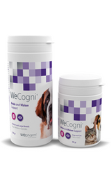 https://cdn.shopify.com/s/files/1/0916/7627/9129/files/WeCogni.png?v=1737468752