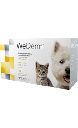 WeDerm | Oral 30ml