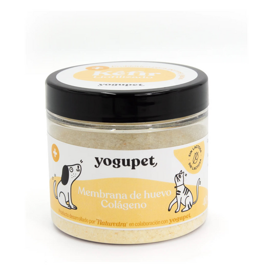 Yogupet Kefir Liofilizado Cão Ovo e Colagénio - Snack para cão