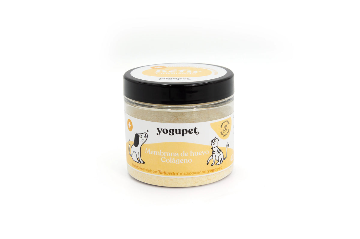 Yogupet Freeze-Dried Kefir Dog Egg and Collagen - Dog snack