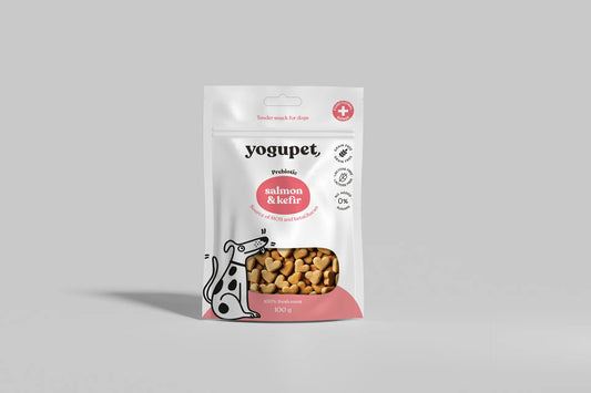 YOGUPET DOG SEMI-MOIST SNACK SALMON & KEFIR | 10 X 100GR