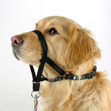 Kerbl Maxi Coach - Boza de entrenamiento para perro