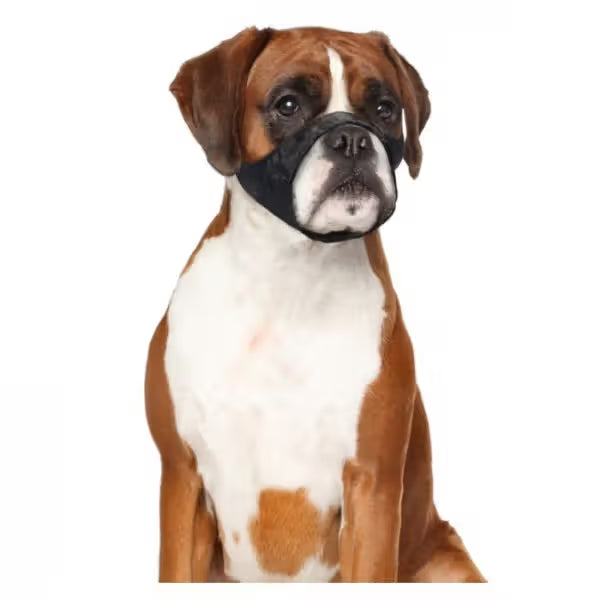 Duvo Plus Açaime em Nylon - para perro