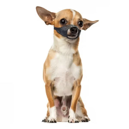 Duvo Plus Açaime em Nylon - para perro
