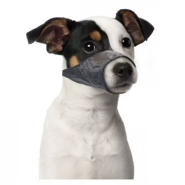 Duvo Plus Açaime em Nylon - para perro