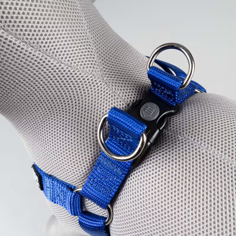 Duvo Plus Explor Classic Azul Azul - Dog harness
