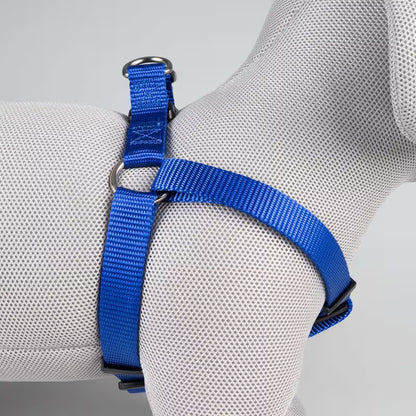 Duvo Plus Explor Classic Azul Azul - Dog harness