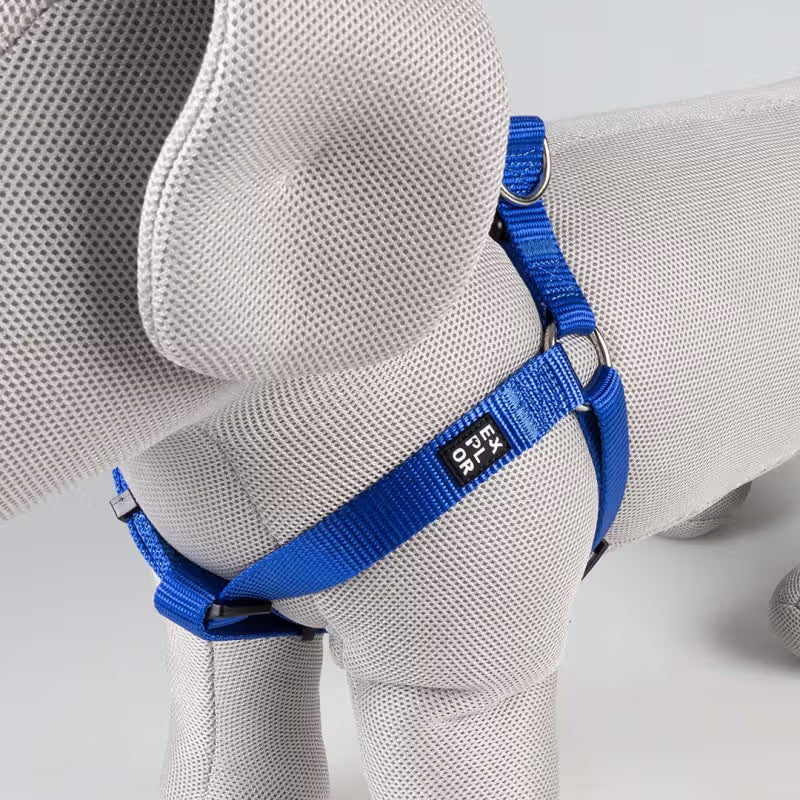 Duvo Plus Explor Classic Azul Azul - Dog harness