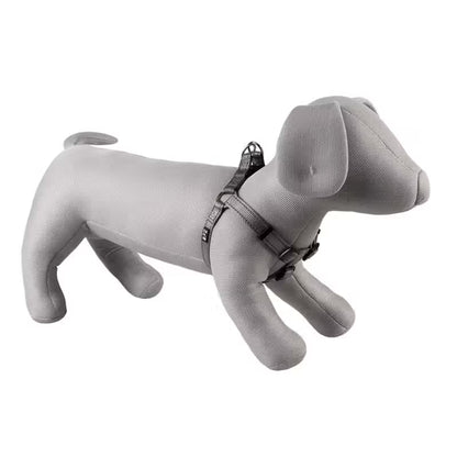 Duvo Plus Explor Classic Cinzento Cinzento - Arnês para cão