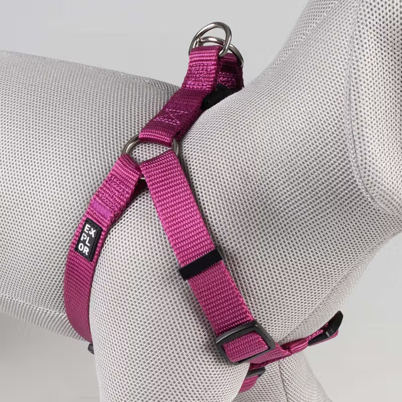 Duvo Plus Arnês Explor Classic Rosa Fucsia Rosa - Arnês para cão