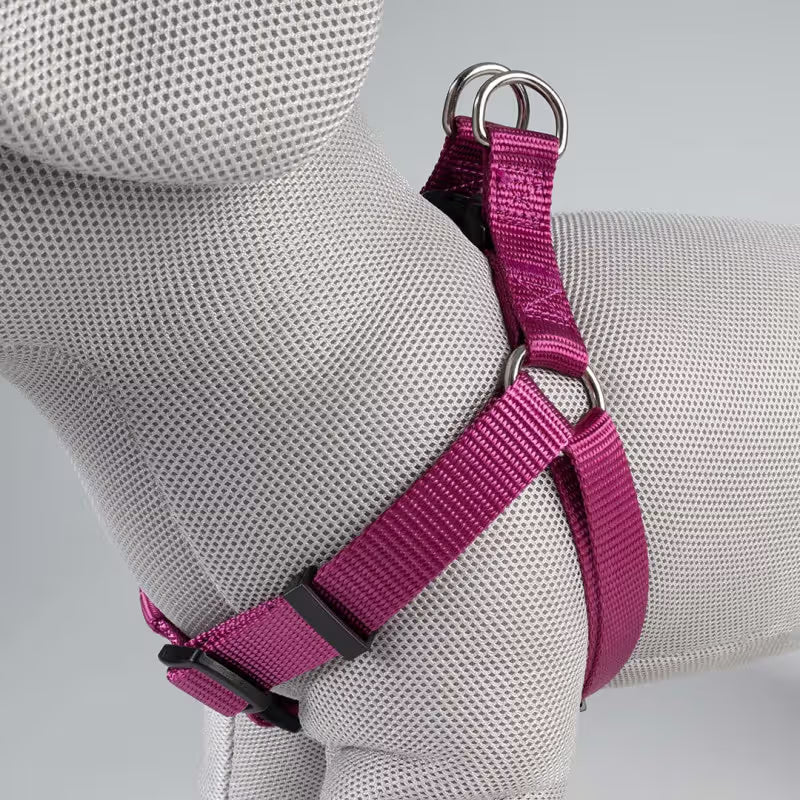 Duvo Plus Arnês Explor Classic Rosa Fucsia Rosa - Arnês para cão