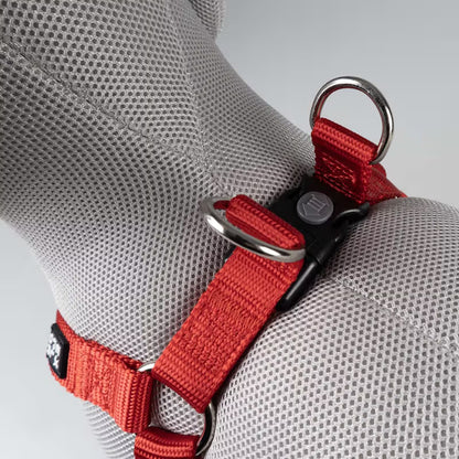 Duvo Plus Explor Classic Vermelho - Dog harness