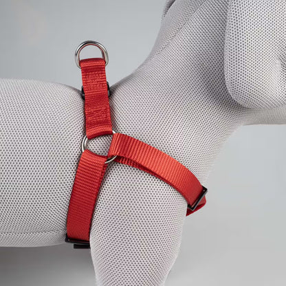 Duvo Plus Explor Classic Vermelho - Dog harness