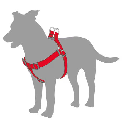 Duvo Plus Explor Classic Vermelho - Dog harness