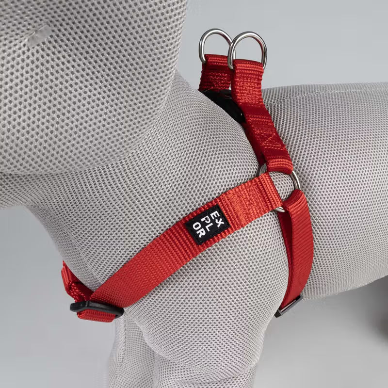 Duvo Plus Explor Classic Vermelho - Dog harness