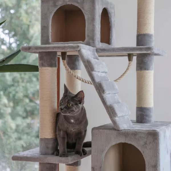 Kerbl Arranhador Cubos - Cat scratching post